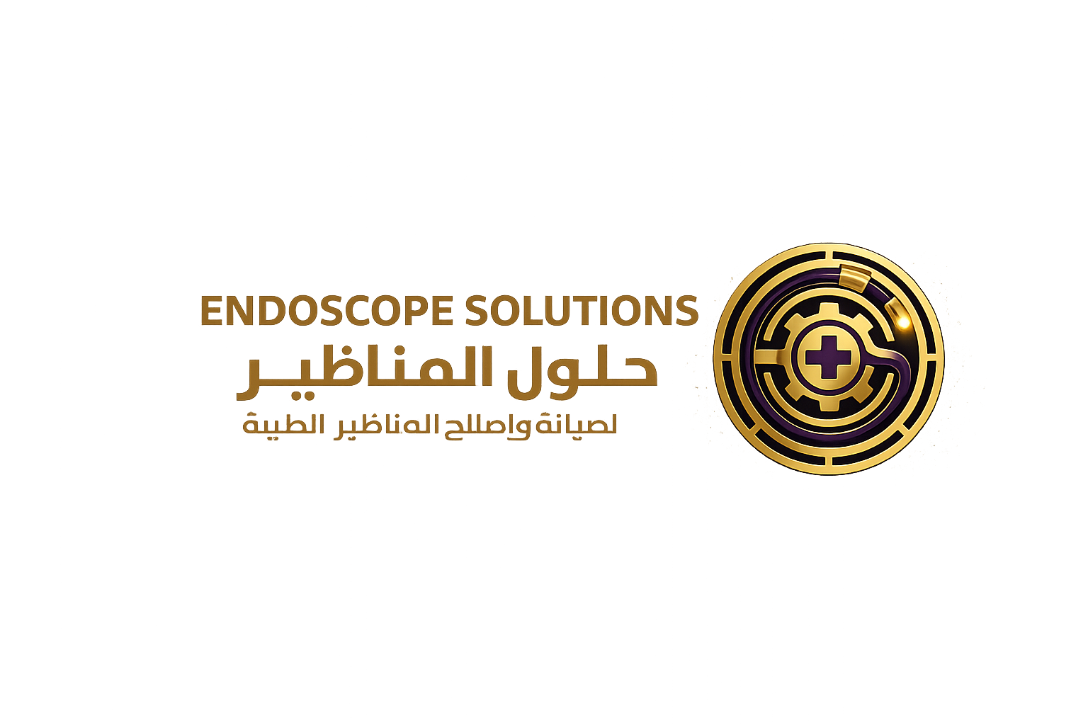 شركة حلول المناظير